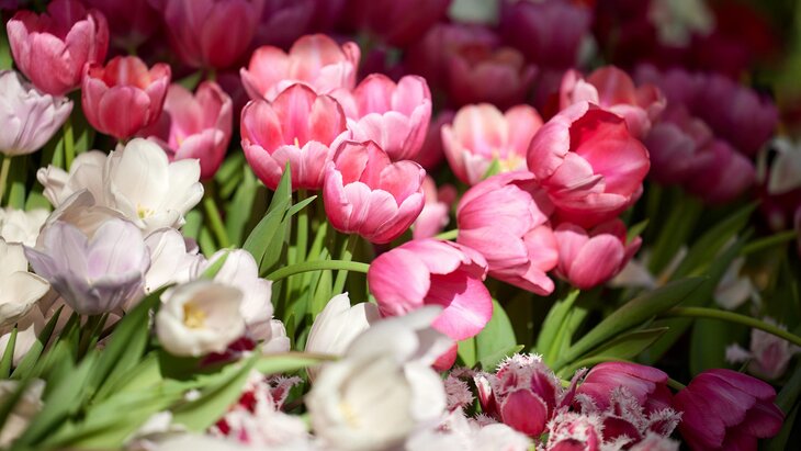 � �� ����������, � ����� ������� ����� ������� ������ �� ����� � 8 �����