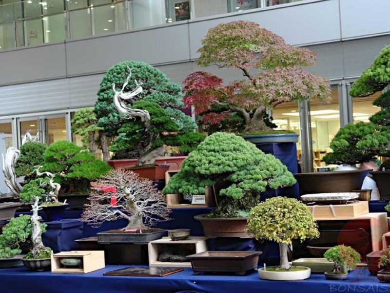 ���������� �������� ������ ��������� � ������������ �������