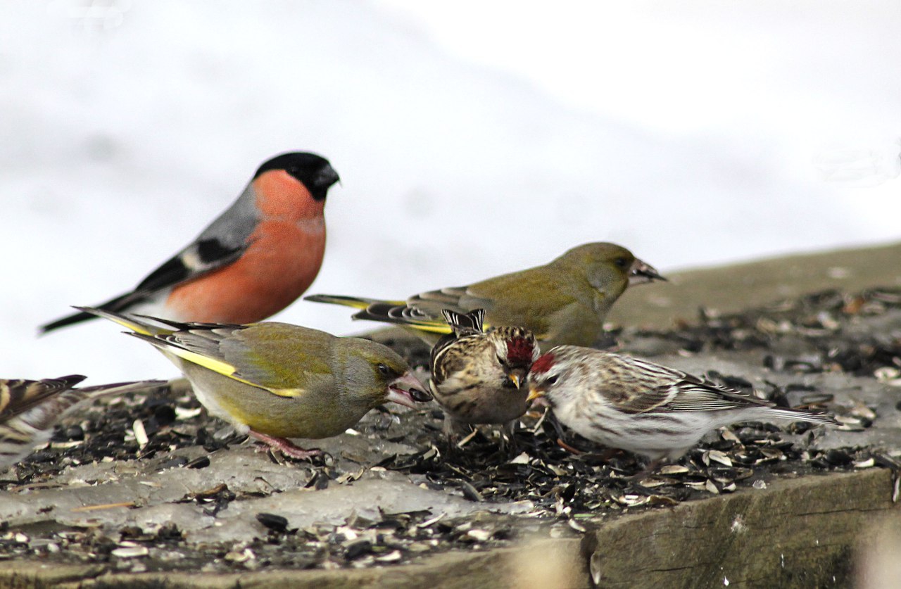 ��������� ������� � ������ � ��������