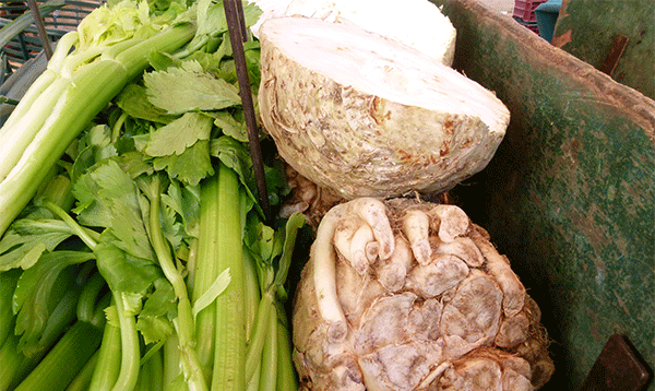 300 ��������� ��������� ��������� � ����������� ���������� �������