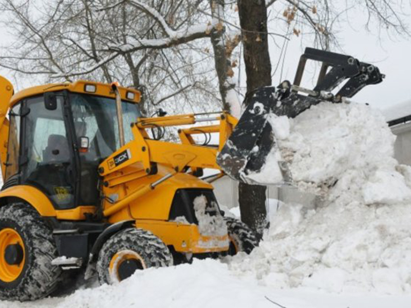 ����� ������ ������� ������� �� �����