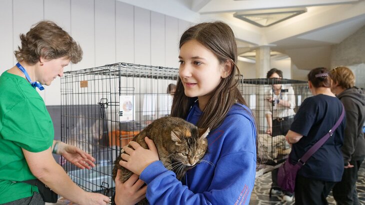 ��������-������������ �������� ������� � �����������