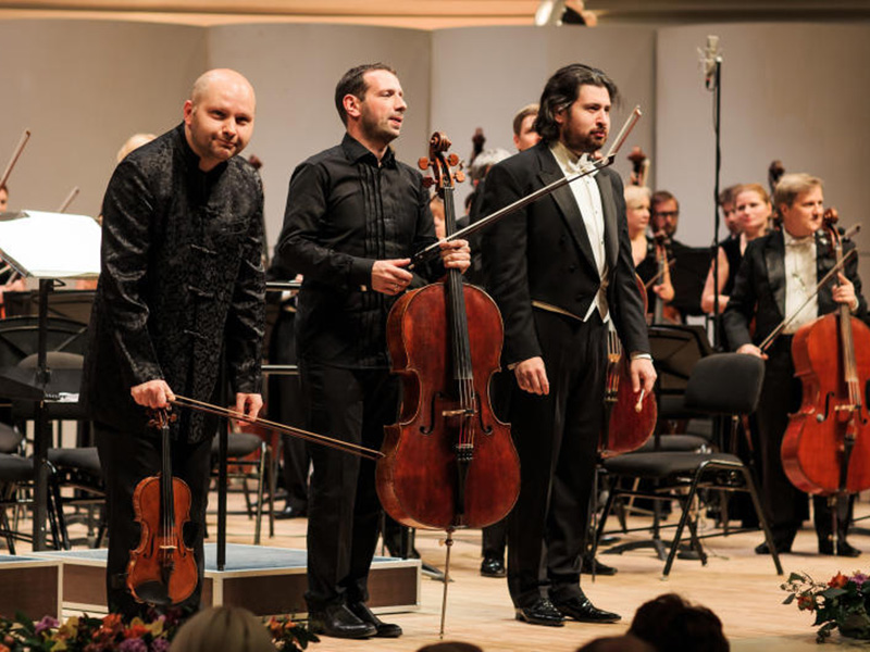  16  26      8-     Vivacello