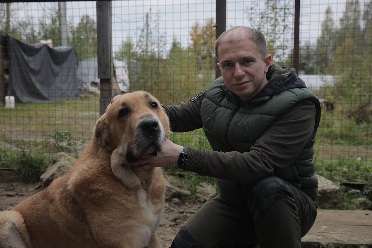 Депутат Михаил Романов выступил за реорганизацию системы приютов для бездомных животных в России