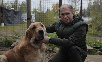 Депутат Михаил Романов выступил за реорганизацию системы приютов для бездомных животных в России