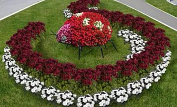 В ТиНАО 1 июня проведут конкурс цветочных клумб
