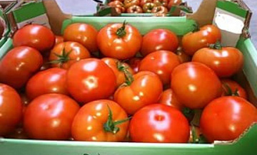 В Новую Москву пытались ввезти 32,5 тонны запрещенных томатов и яблок